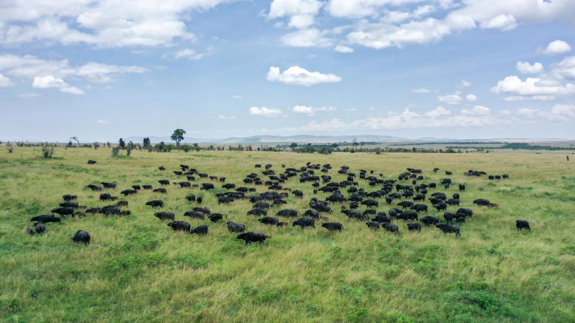 Sentrim Mara Lodge Ololaimutiek Экстерьер фото