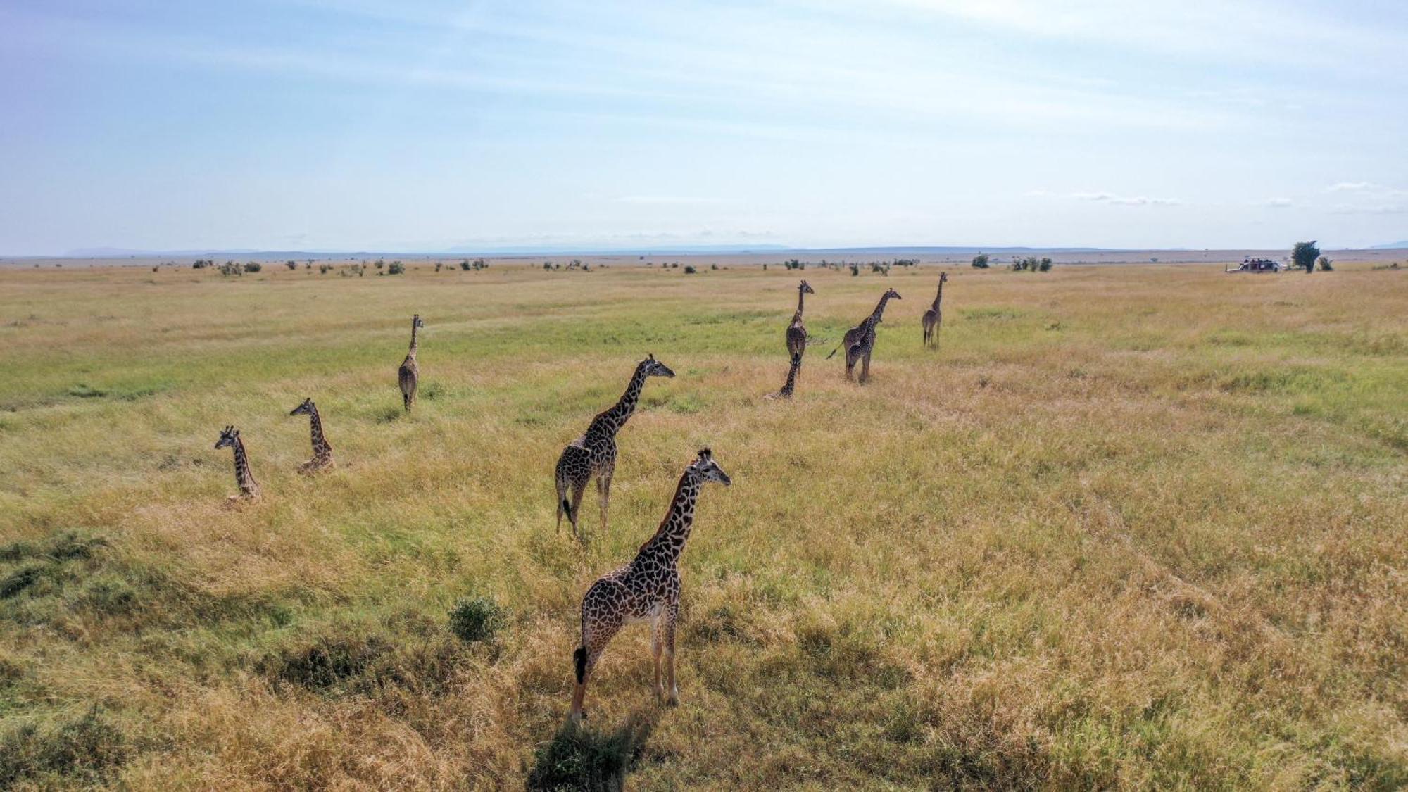 Sentrim Mara Lodge Ololaimutiek Экстерьер фото